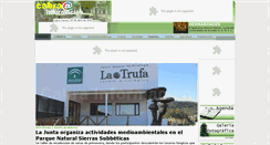 Desktop Screenshot of cabrainformacion.com